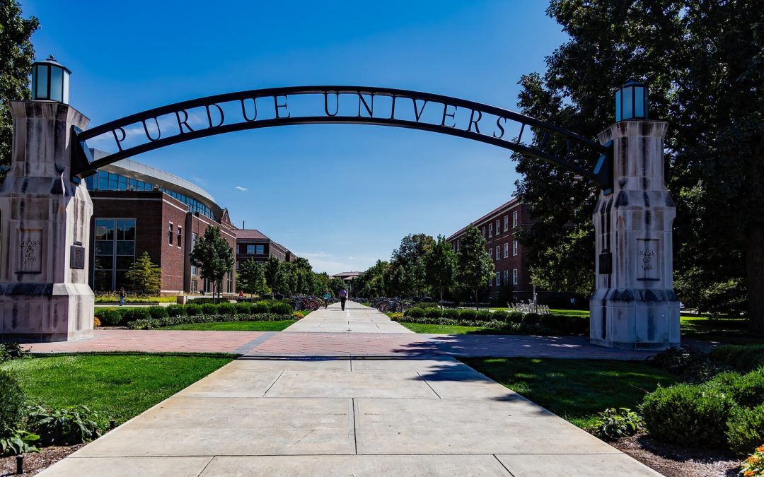 Contemporary educational systems